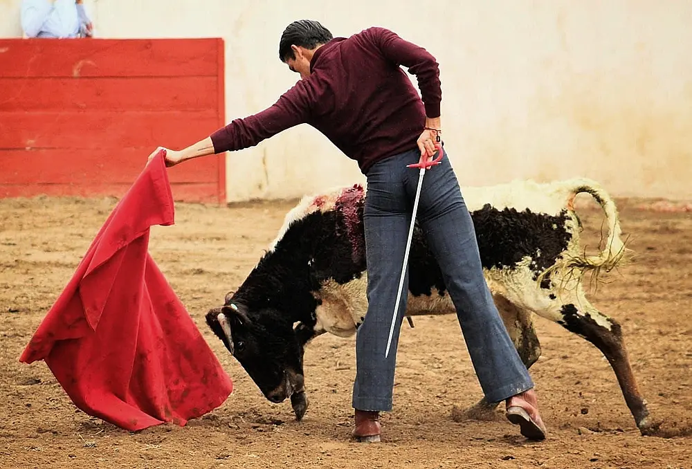 Con tienta, termina “Calita” preparación para la Plaza México