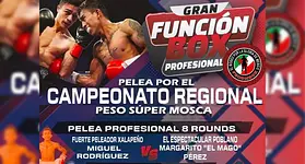 Boxeadores poblanos van por knockouts en función de Fecombox