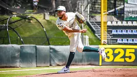 Pericos enrachados: ganaron su cuarta serie consecutiva