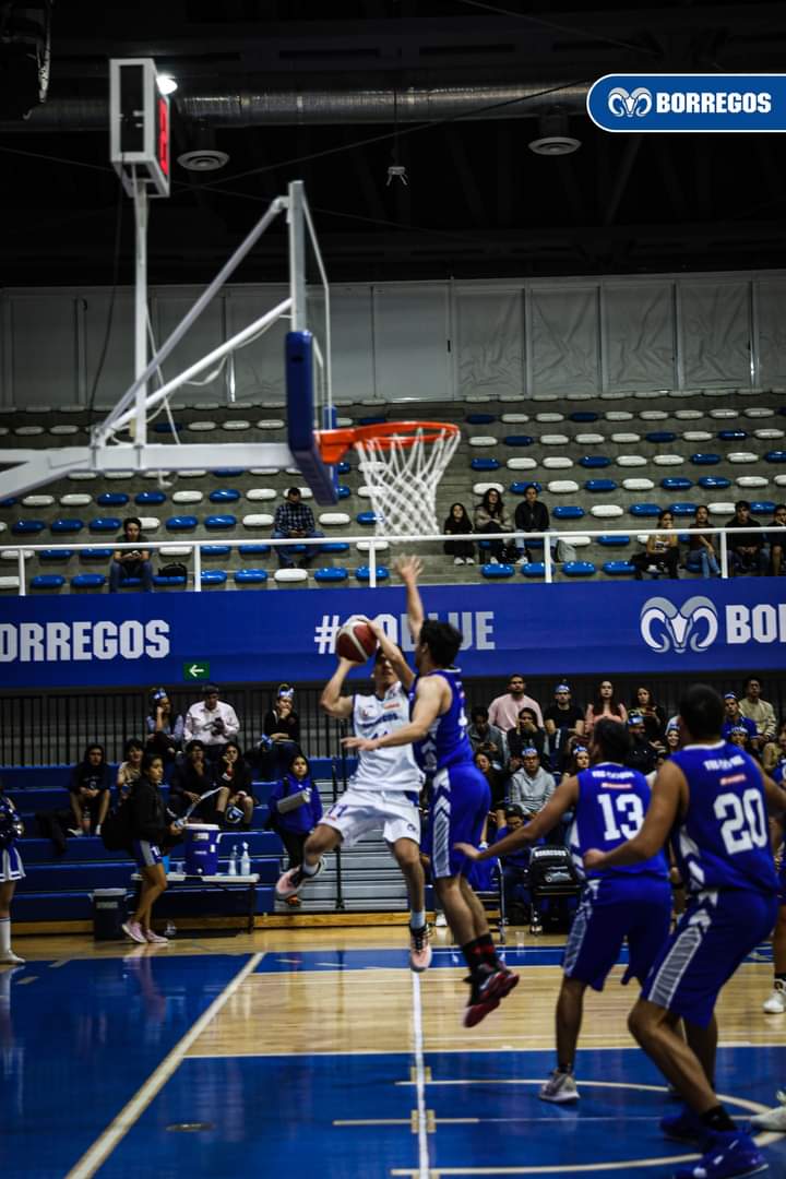 Este fin de semana será de gran actividad en la duela del Tecnológico de Monterrey campus Puebla, los equipos representativos de baloncesto de Borregos Puebla encaran importantes compromisos en la Liga ABE.  Va por primeros lugares el representativo varonil  Ya se enrachó el equipo de Enrique Zúñiga, que tras la pausa de la semana pasada reaparece en su duela buscando sacar provecho de la localía para acercarse a la parte alta del standing.  El viernes a las 7 de la noche, los Borregos le hacen los honores a la Universidad Panamericana, para una confrontación que se espera de poder a poder y que le podría permitir al Tec Puebla comenzar a escalar, en la batalla que luce muy pareja por los puestos de honor de cara al Ocho Grandes.  La Panamericana se ubica en la sexta posición del standing y tiene marca de 6-3, mientras los Borregos se encuentran en el noveno lugar de la clasificación con récord de 5-3.  El sábado a la una de la tarde el rival serán los Pumas de la UNAM, quinteta que llega en el penúltimo lugar del standing con marca de 1-8.  Una combinación de resultados le podría permitir al equipo poblano escalar hasta lo más alto del récord en ganados y perdidos de los equipos que ya promedien entre diez partidos en la temporada.  El equipo femenil debuta en casa  Por su parte, el equipo femenil de Melina Villalpando hace su presentación en casa dentro de la temporada 2022-2023 de la Liga ABE división II en la rama femenil, recibiendo el viernes a las 4 de la tarde a la Universidad Americana.  El conjunto de Villalpando juega su tercer partido de la temporada, el primero en casa. La marca del equipo femenil de basquetbol del Tec Puebla es de 1-1.  Todos los partidos del fin de semana en la duela de la Arena Borregos serán transmitidos a través de la fanpage oficial de Borregos Puebla en Facebook.