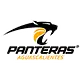 Panteras Aguascalientes