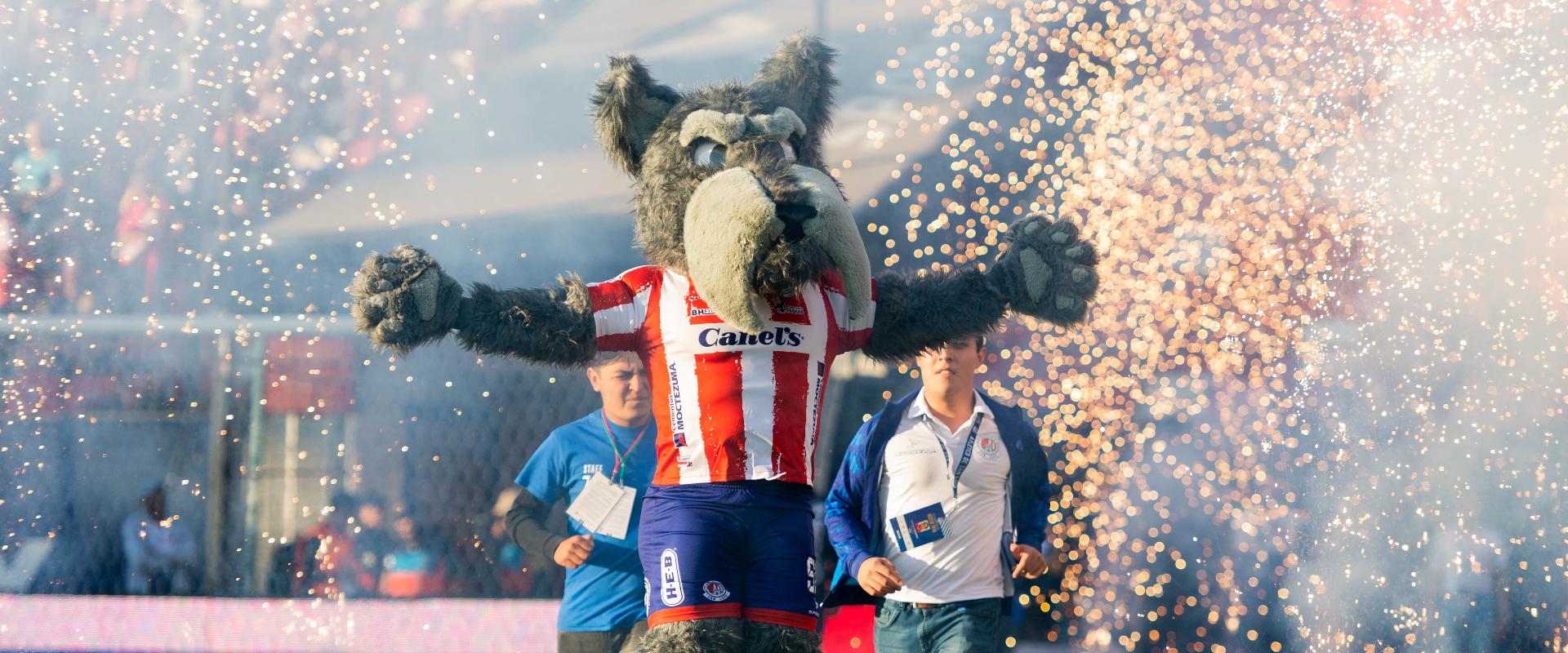 “Lucho”, la nueva mascota consentida de la Liga MX