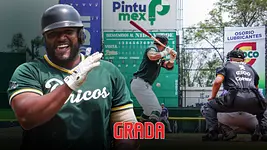 Los Pericos renuevan su vuelo con la séptima estrella en la mira