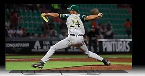 Pericos de Puebla se queda con la serie ante los Leones de Yucatán