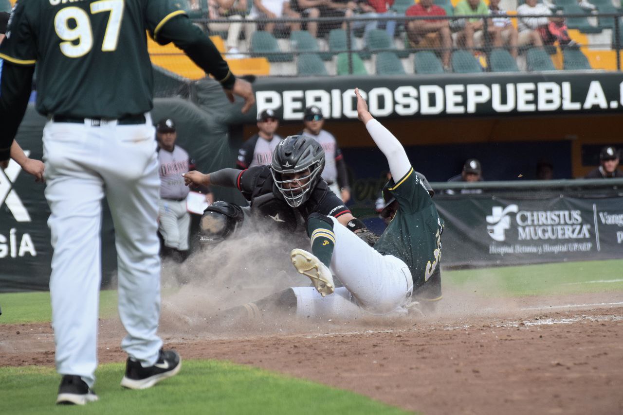 Pericos de Puebla, a recomponer el camino ante el Águila de Veracruz