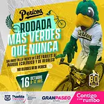 Todo listo para la Rodada "Más Verdes Que Nunca"