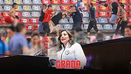 Proponen “Ley Antibarras” en Cámara de Diputados