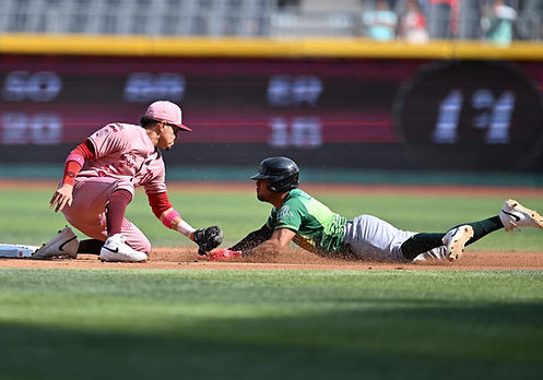 Masacrados en el infierno: Pericos es apaleado 17-6 por los Diablos