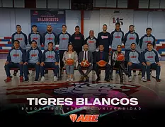 Estrenan Tigres Blancos de la UMAD nueva piel