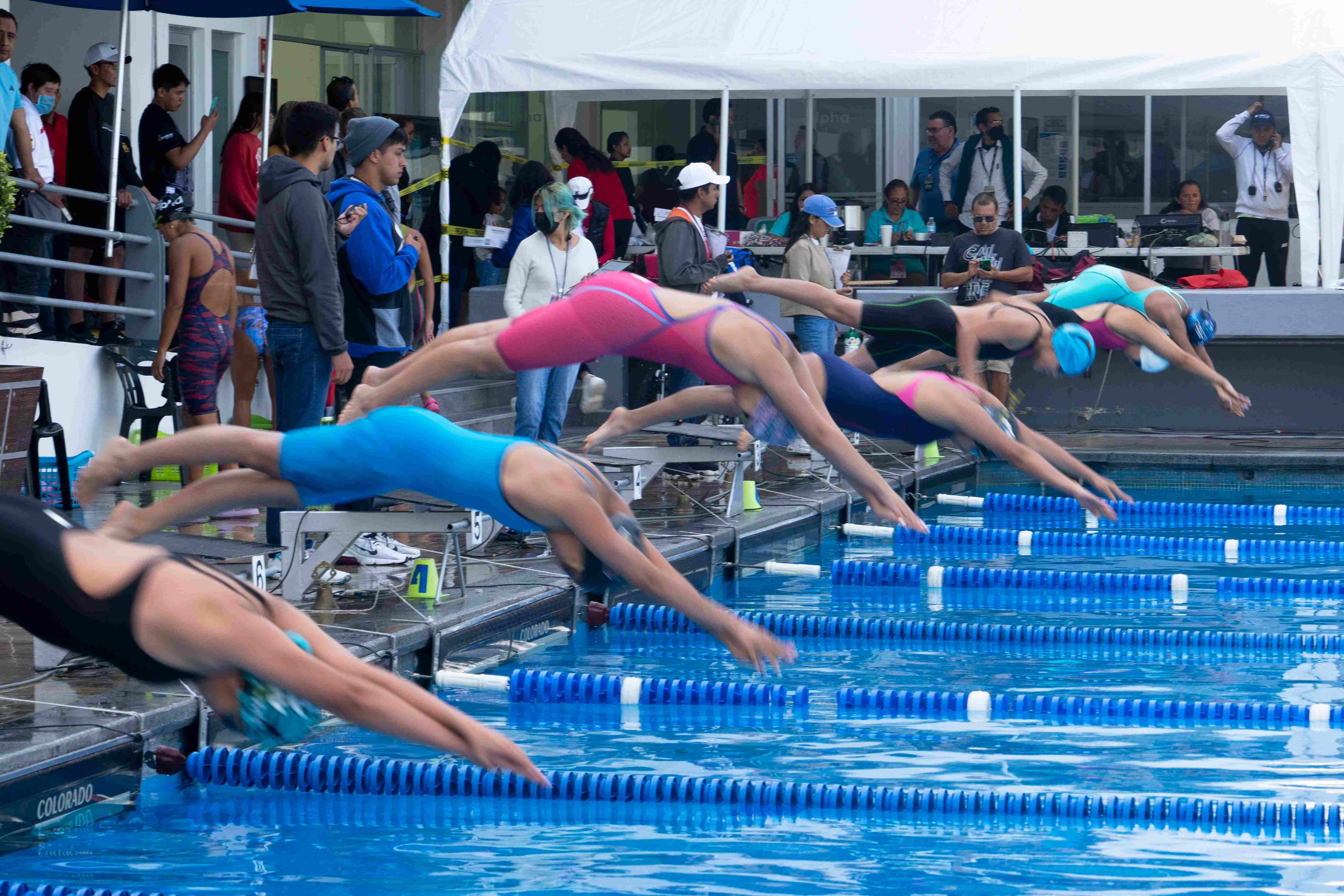 Conquistan Titanes torneo estatal de Natación