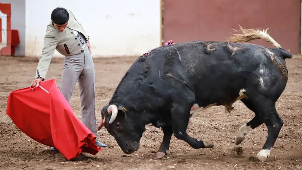 Sosa afina muleta rumbo a su alternativa en Tlaxcala