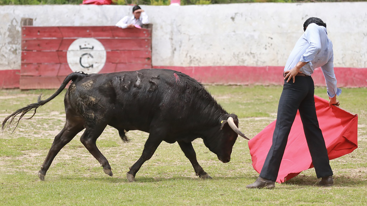 Tenopala prueba con éxito la primera camada de “Parcelito”