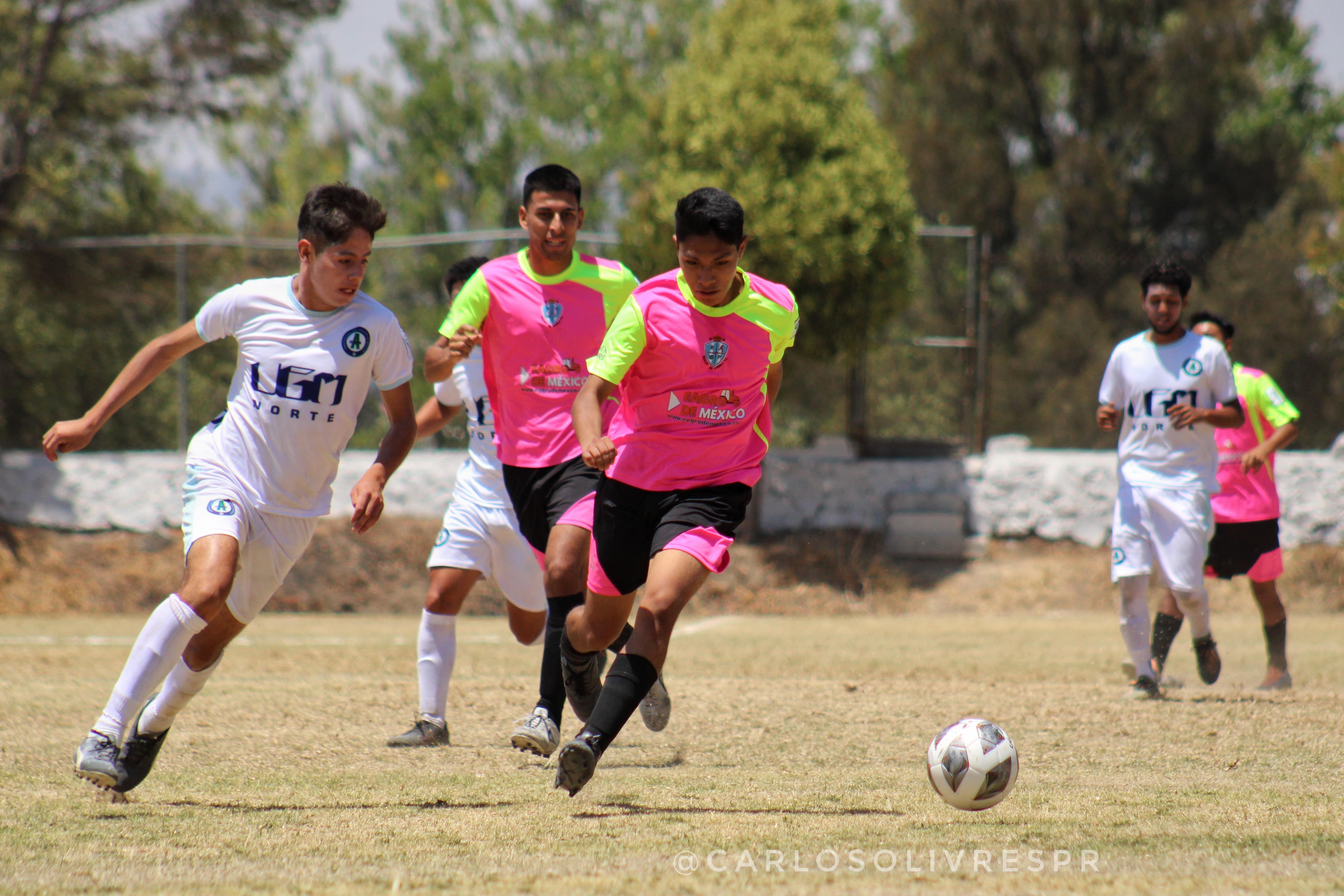 Caen Reales de Puebla en casa ante Académicos UGM