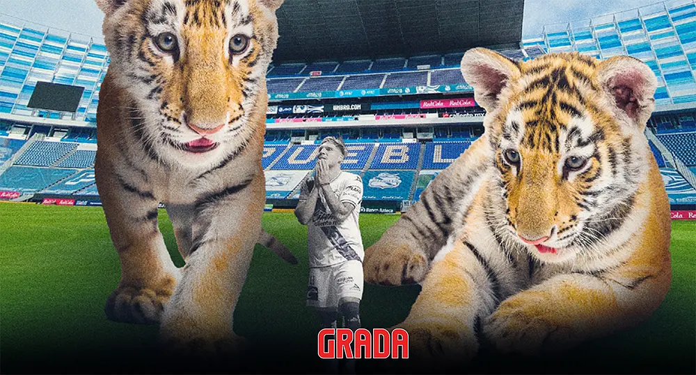 Club Puebla vs Tigres: previa, dónde y cómo ver en TV streaming