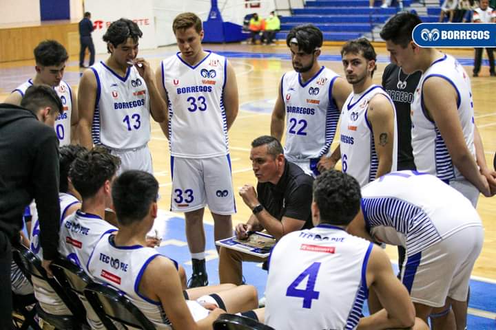 Asume Daniel Ojeda como nuevo coach de Borregos Puebla de basquetbol