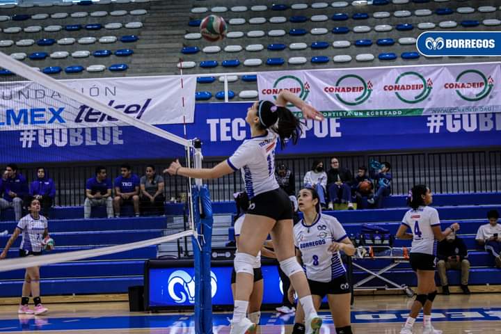 Borregos Puebla, con la mente puesta en el Final Four