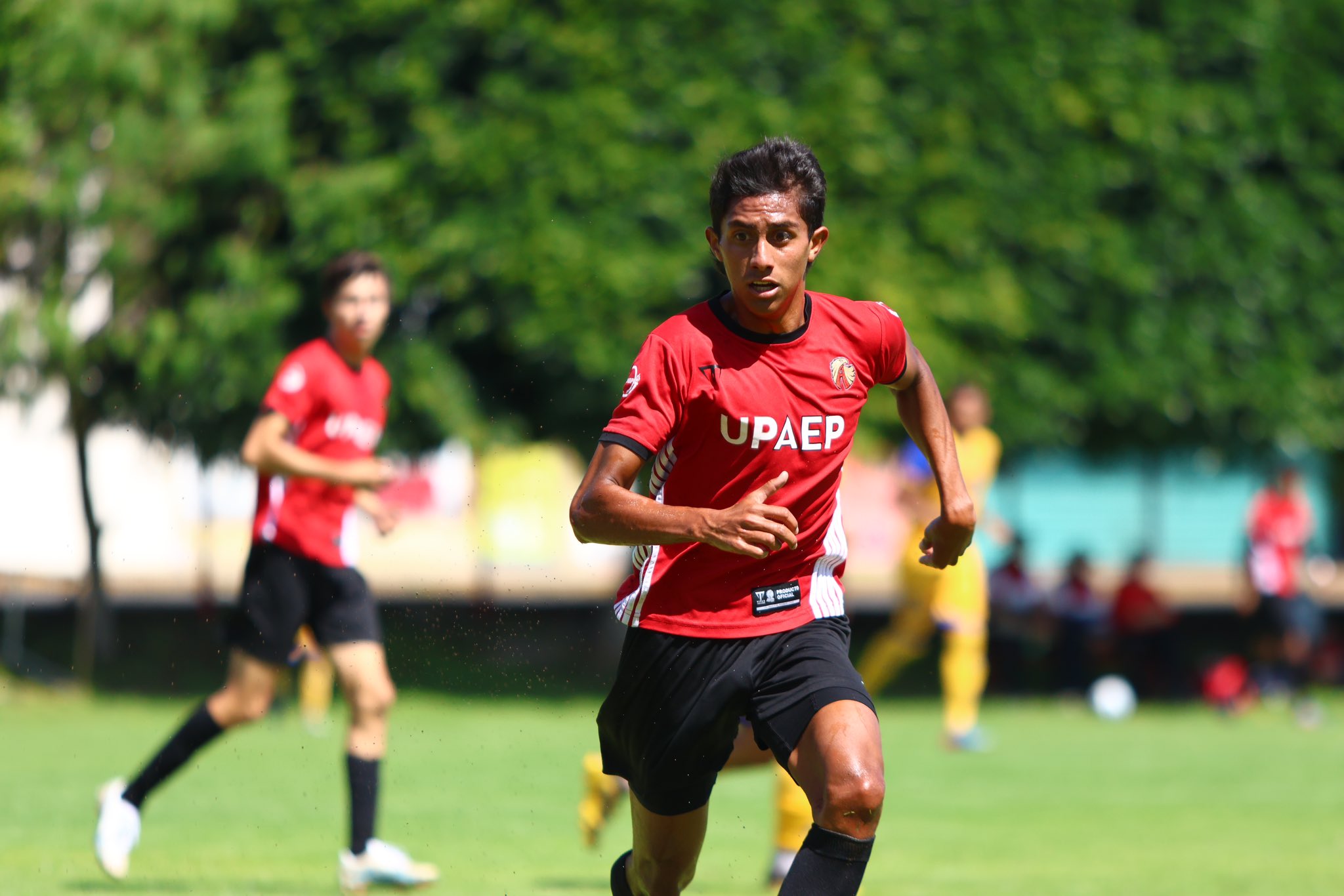 Balance positivo para representativos poblanos en fútbol CONADEIP