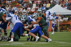Borregos Puebla y Aztecas UDLAP, con realidades contrastantes en ONEFA