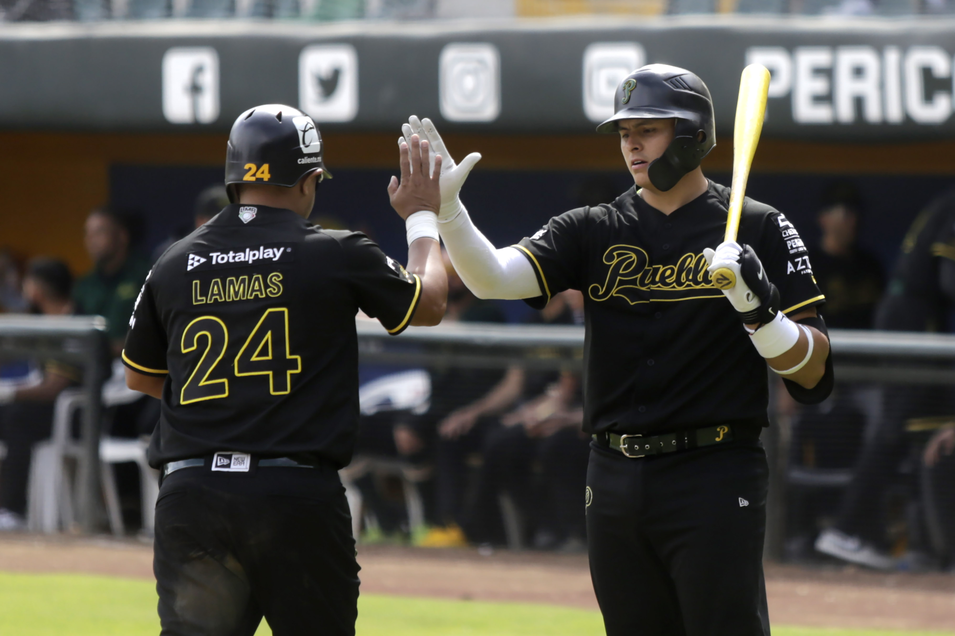 Pericos saca la escoba y barre a Piratas de Campeche