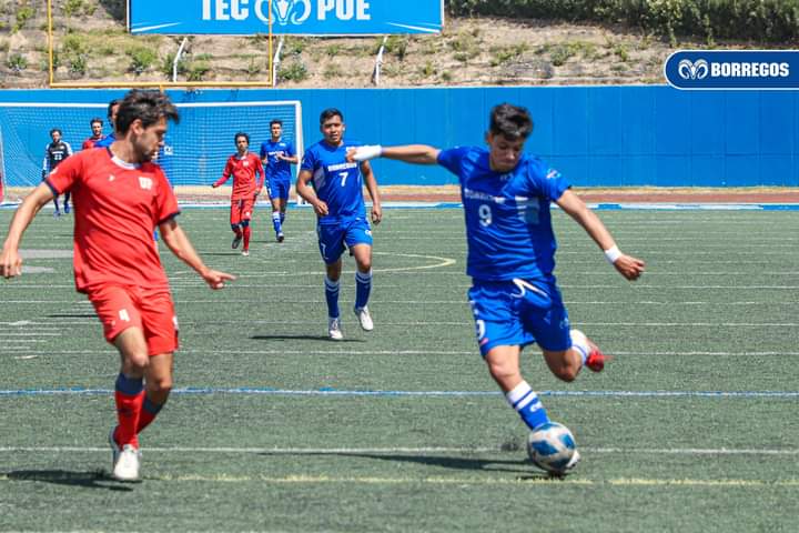 Borregos llega al final del CUTT con la obligación de ganar