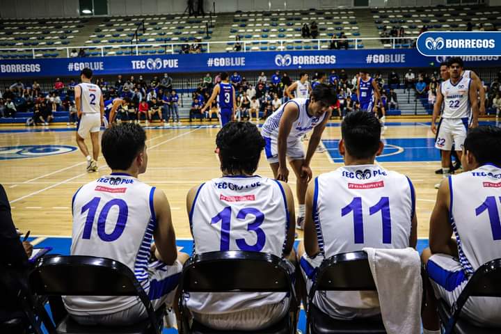 Este fin de semana será de gran actividad en la duela del Tecnológico de Monterrey campus Puebla, los equipos representativos de baloncesto de Borregos Puebla encaran importantes compromisos en la Liga ABE.  Va por primeros lugares el representativo varonil  Ya se enrachó el equipo de Enrique Zúñiga, que tras la pausa de la semana pasada reaparece en su duela buscando sacar provecho de la localía para acercarse a la parte alta del standing.  El viernes a las 7 de la noche, los Borregos le hacen los honores a la Universidad Panamericana, para una confrontación que se espera de poder a poder y que le podría permitir al Tec Puebla comenzar a escalar, en la batalla que luce muy pareja por los puestos de honor de cara al Ocho Grandes.  La Panamericana se ubica en la sexta posición del standing y tiene marca de 6-3, mientras los Borregos se encuentran en el noveno lugar de la clasificación con récord de 5-3.  El sábado a la una de la tarde el rival serán los Pumas de la UNAM, quinteta que llega en el penúltimo lugar del standing con marca de 1-8.  Una combinación de resultados le podría permitir al equipo poblano escalar hasta lo más alto del récord en ganados y perdidos de los equipos que ya promedien entre diez partidos en la temporada.  El equipo femenil debuta en casa  Por su parte, el equipo femenil de Melina Villalpando hace su presentación en casa dentro de la temporada 2022-2023 de la Liga ABE división II en la rama femenil, recibiendo el viernes a las 4 de la tarde a la Universidad Americana.  El conjunto de Villalpando juega su tercer partido de la temporada, el primero en casa. La marca del equipo femenil de basquetbol del Tec Puebla es de 1-1.  Todos los partidos del fin de semana en la duela de la Arena Borregos serán transmitidos a través de la fanpage oficial de Borregos Puebla en Facebook.