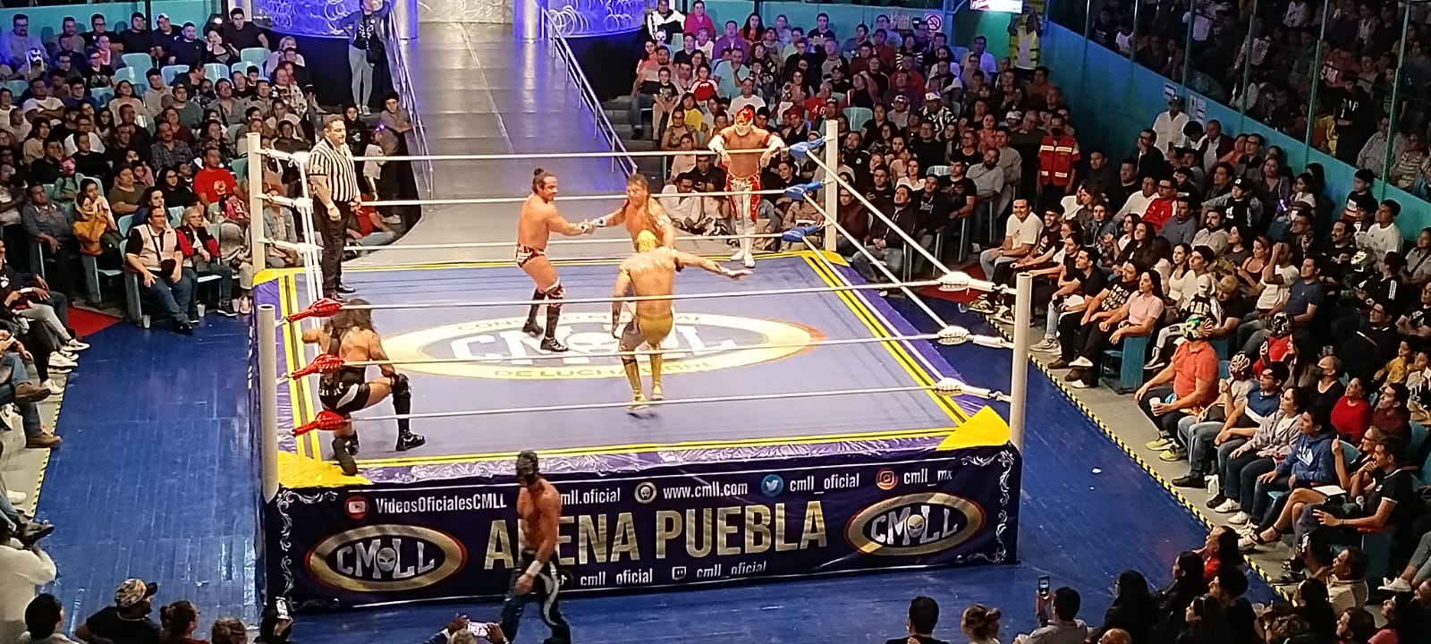 Las Indomables siguen reinando y Soberano pasa sobre Místico