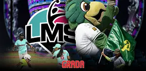 Pericos de Puebla se “bajan” de la Liga Mexicana de Softbol