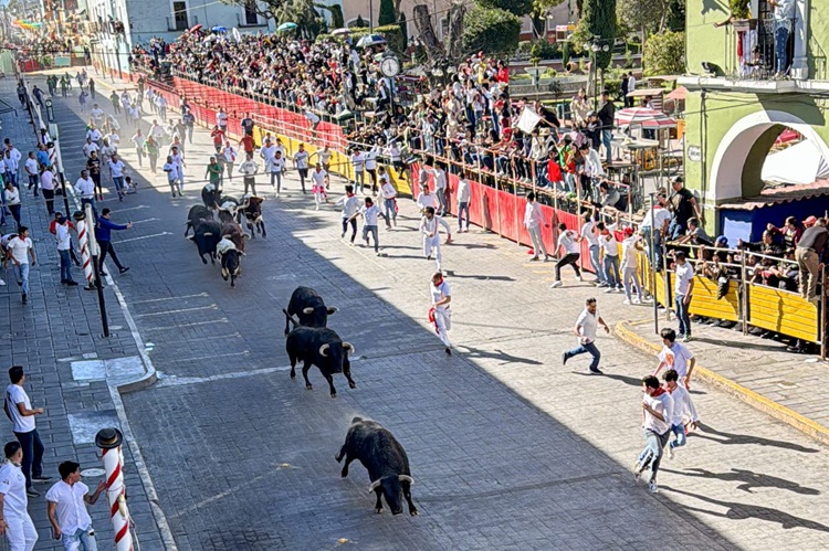 Sebastián Palomo triunfa en la Corrida de Oportunidad 2024