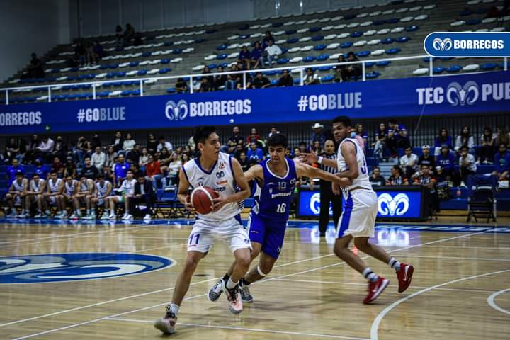 Retornan Borregos Puebla de básquetbol a su duela