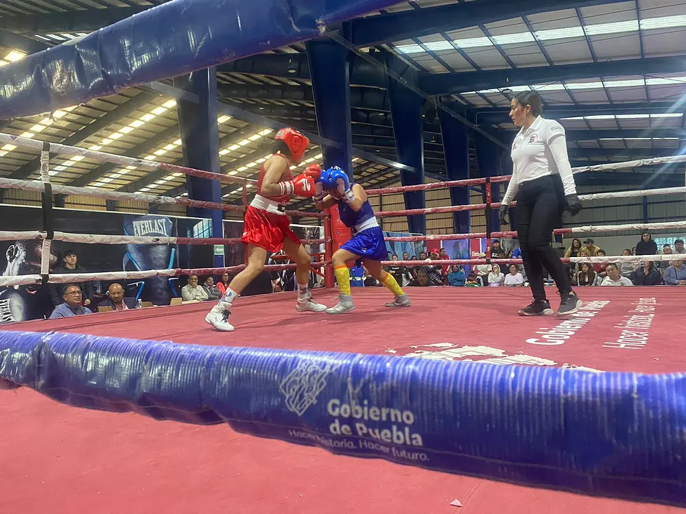Perfilan finales del Guantes de Oro 2024