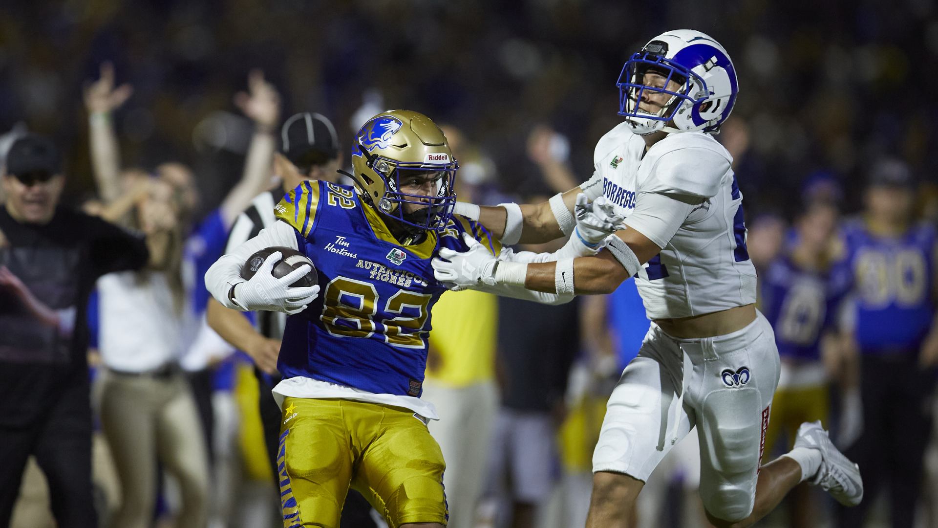 Borregos Salvajes vs. Auténticos Tigres: horario, boletos y dónde ver en TV streaming