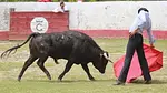 Foto: Ángel Saínos