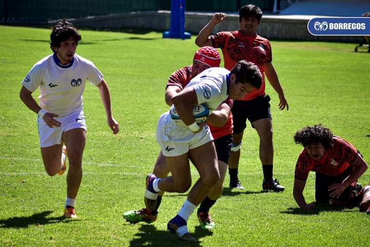 Se presenta Borregos Puebla de rugby en el Nacional de 15’s
