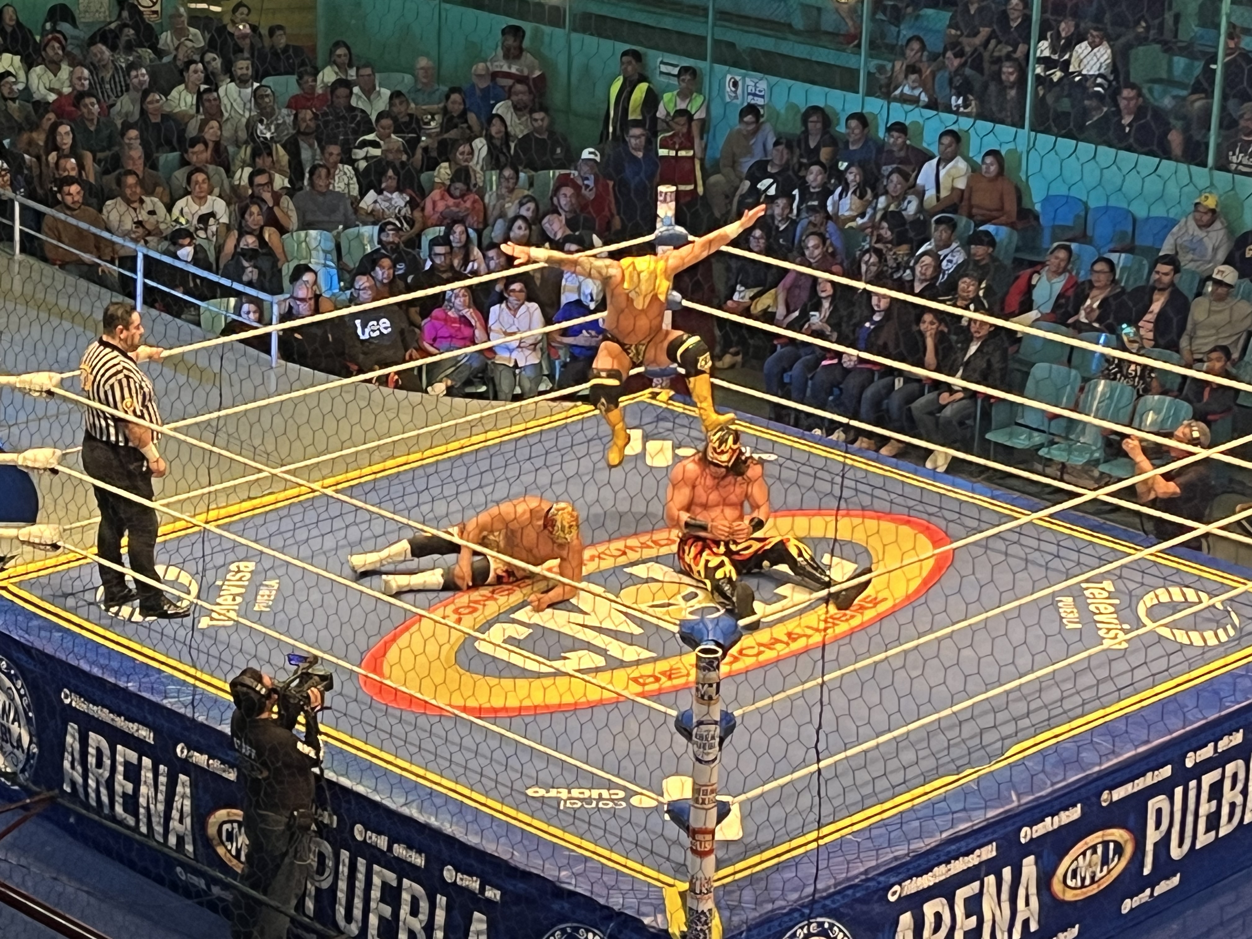 Valiente vence a Esfinge; busca su máscara en el aniversario del CMLL