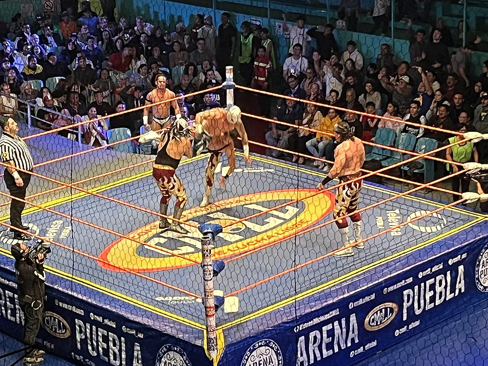Depredadores dominaron a los Infernales