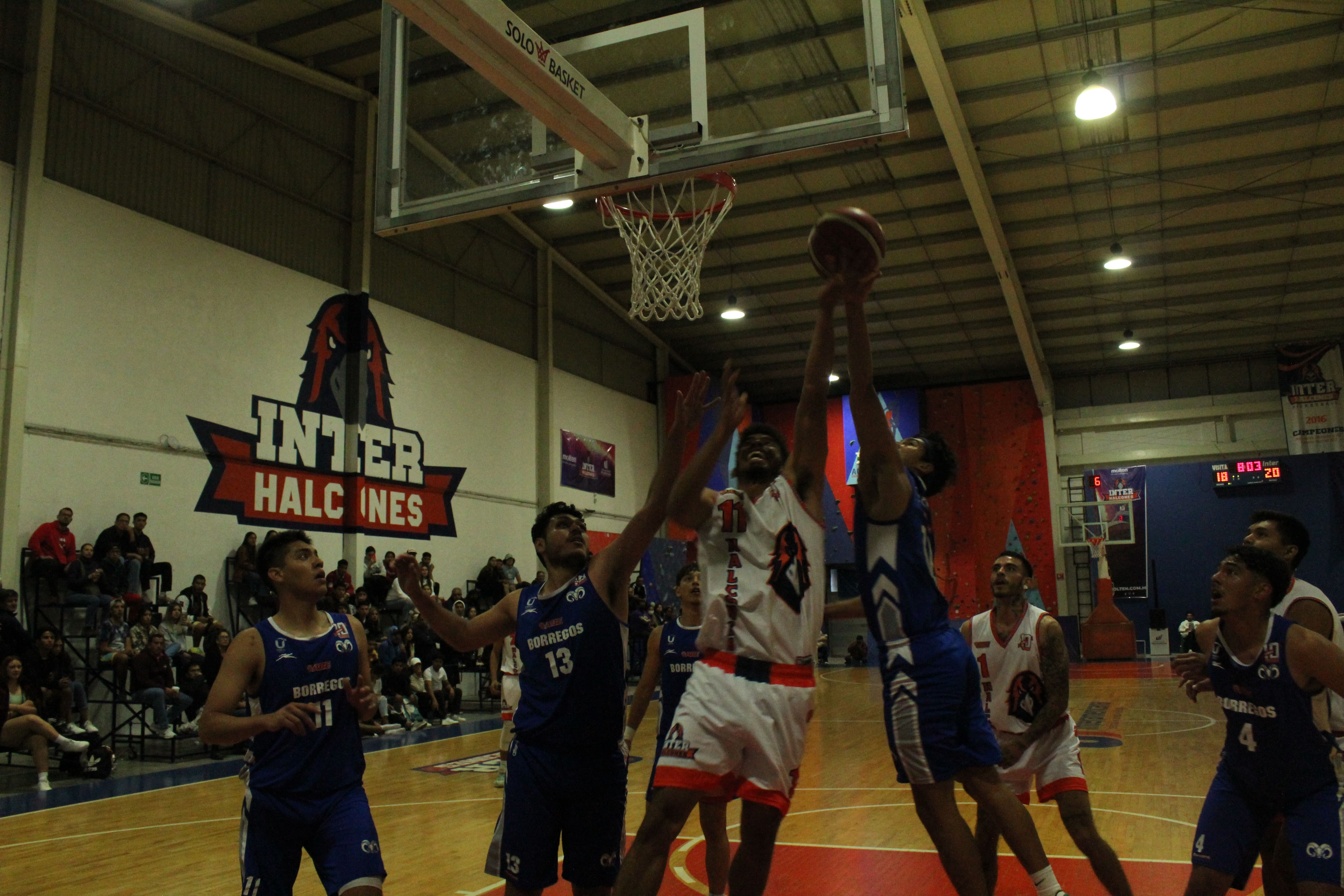 Halcones Inter le pegan al ITESM Toluca, líder de la Liga ABE