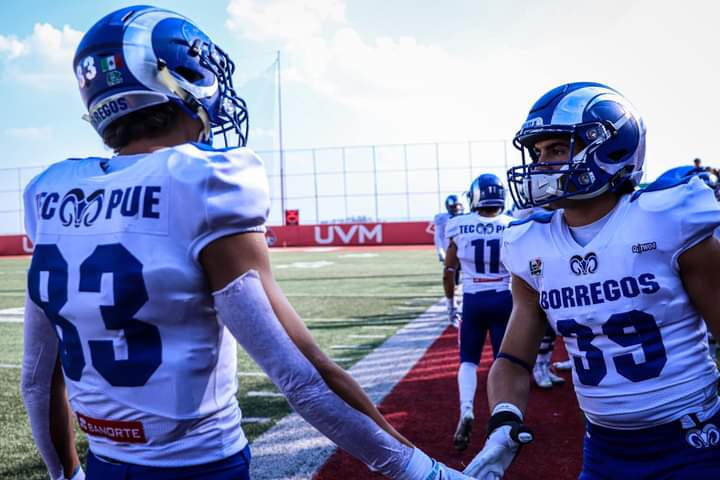 Cierra Borregos Puebla temporada regular con victoria en la ONEFA