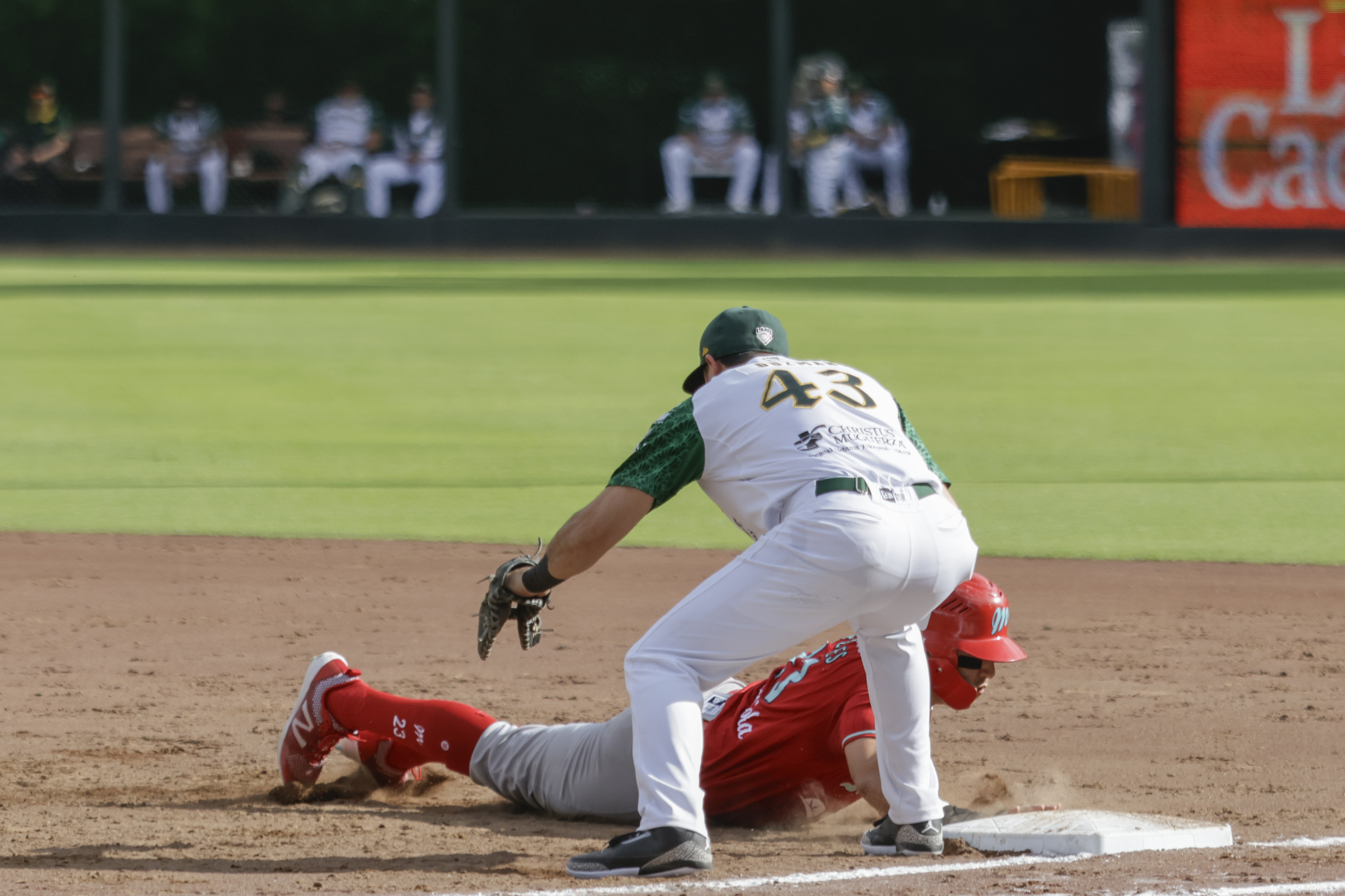 ¡Adiós al campeón! Pericos de Puebla queda eliminado de Playoffs